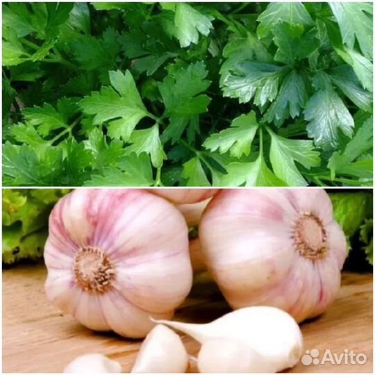 Чеснок,петрушка