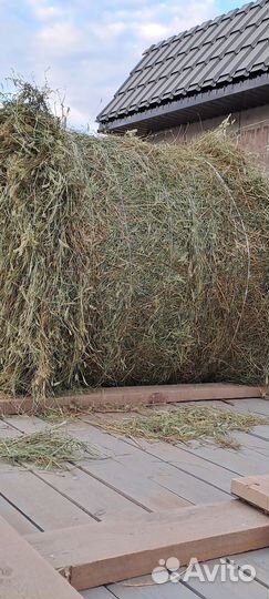 Солома и сено в тюках с доставкой