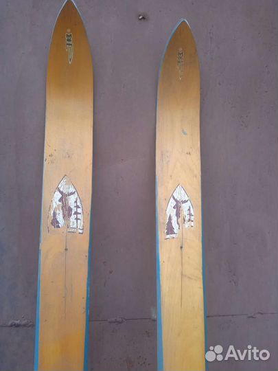 Лыжи для охоты