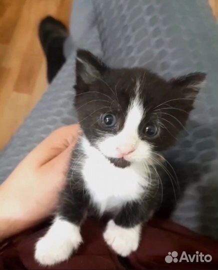 В самые любящие и заботливые руки