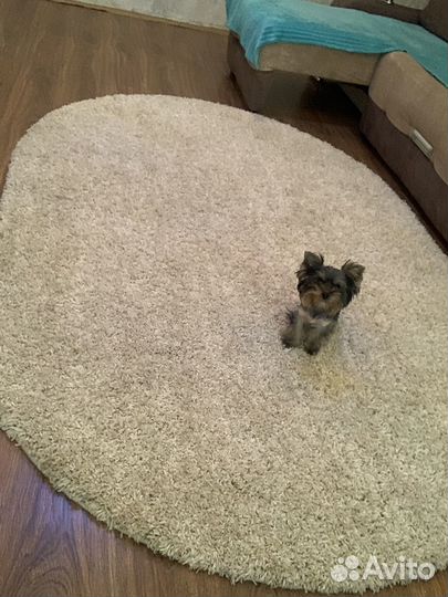 Ковер с ворсом