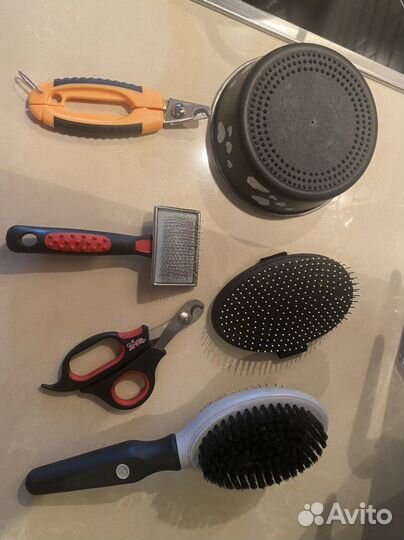 Принадлежности для животных