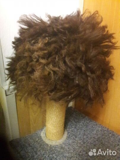 Папаха кавказская