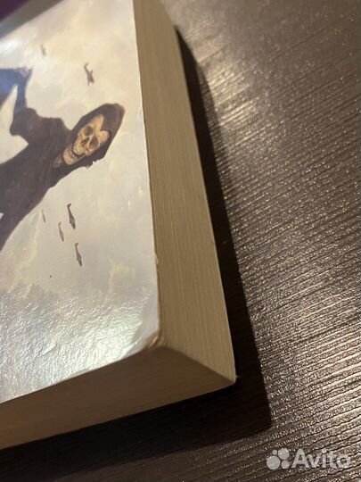 Книжный вор