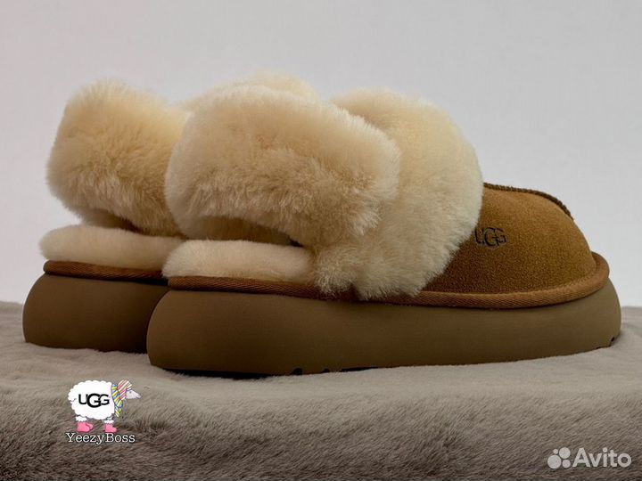 Угги тапочки женские Ugg Slippers Disquette