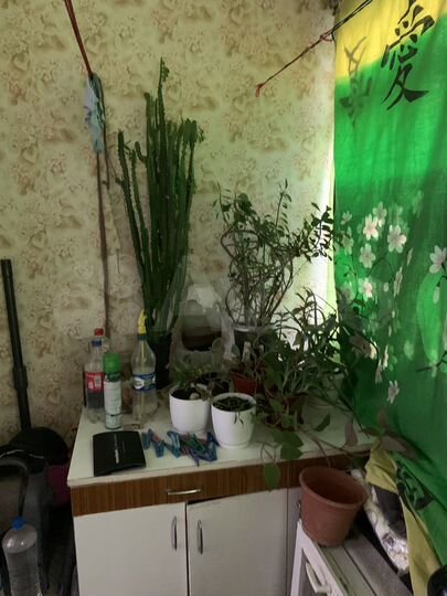 Доля в 1-к. квартире, 32 м², 1/5 эт.