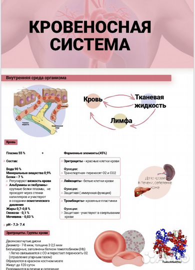 Репетитор по биологии
