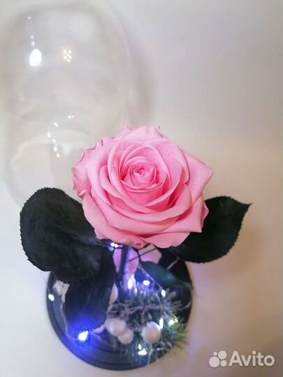 Подарок, Цветок в Колбе стабилизированная Роза