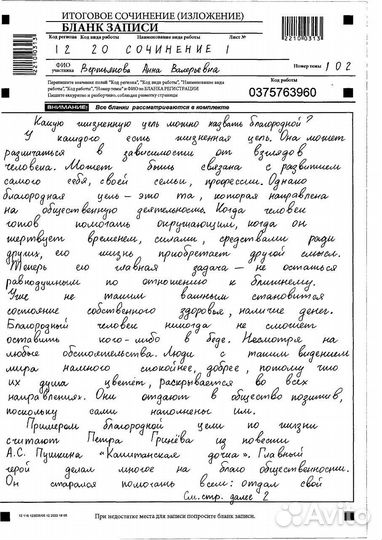 Пишу сочинение на заказ