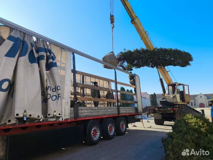 Грузоперевозки межгород