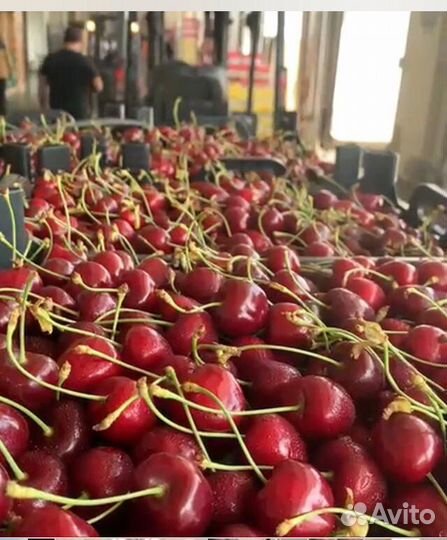 Оптовые поставки в торговые сети