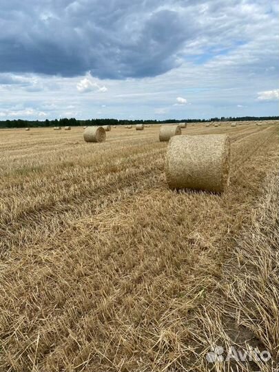 Солома в рулонах