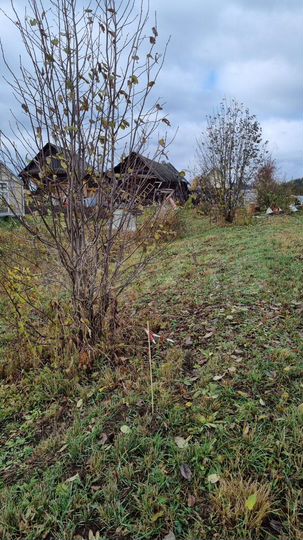 Участок 11 сот. (ИЖС)