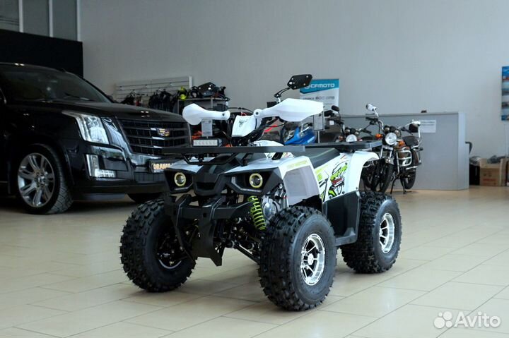 Avantis Hunter 8 New Premium