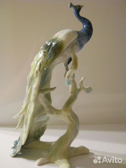 Alka Kunst (Kaiser) королевский павлин (Германия)