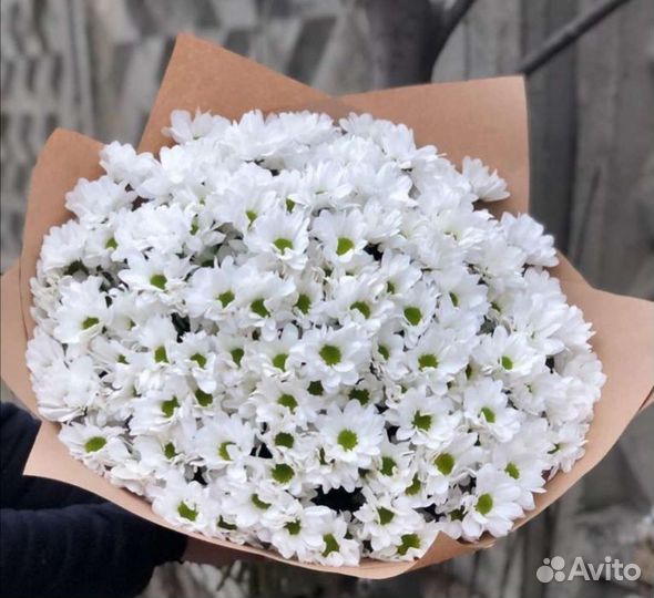 Кустовая хризантема Ромашки Букет ромашек