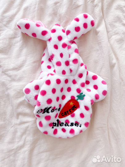 Два костюма для собак