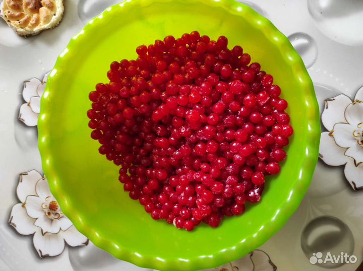 Калина замороженная