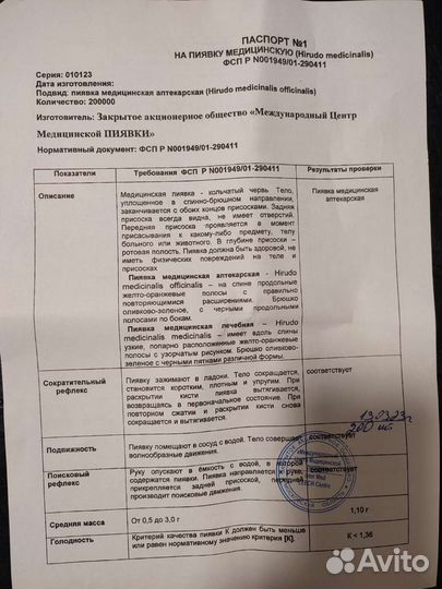 Пиявки