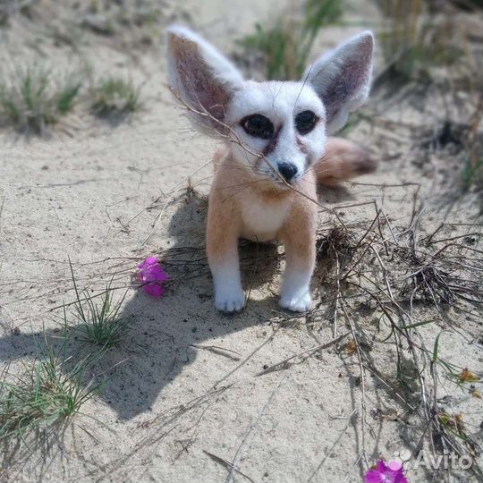 Лисенок Фенёк