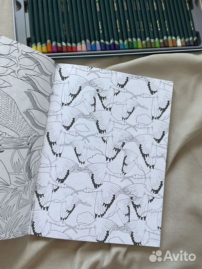 Раскраска антистресс А4