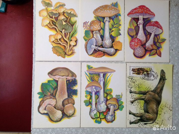 Открытки чистые 1960-1990 годы