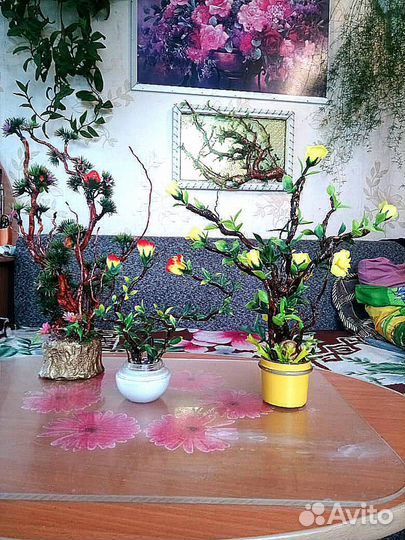 Бонсаи интерьерные