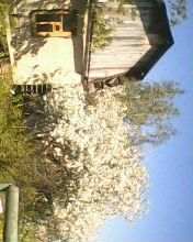 Дача 30 м² на участке 5 сот.