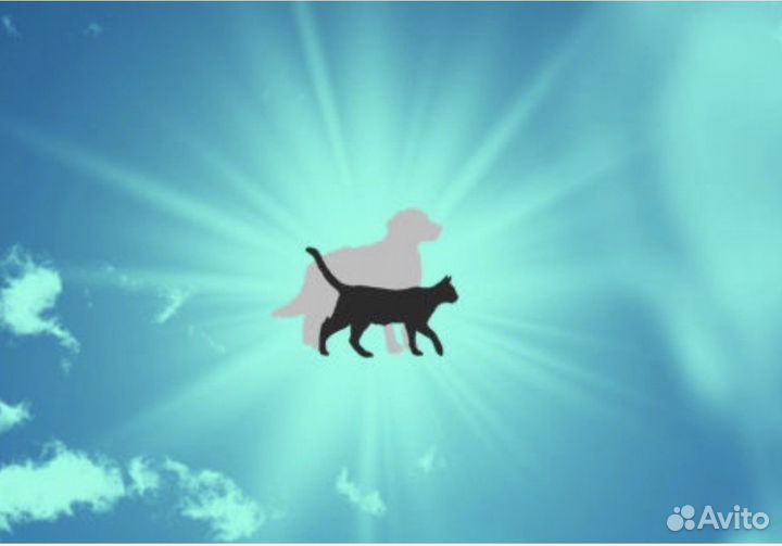 Эвтаназия животных, усыпление Животных, кремация