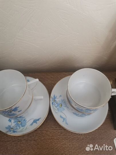 Чайные пары молочник ромашки ранние советы