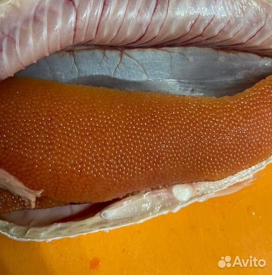 Икра Арктического Омуля Опт