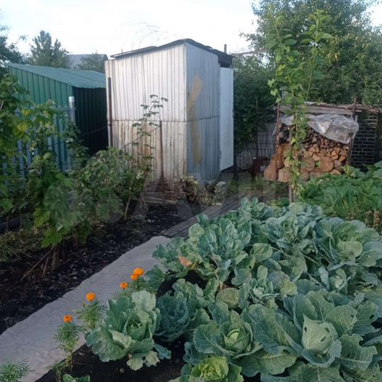 Дача 20 м² на участке 4 сот.