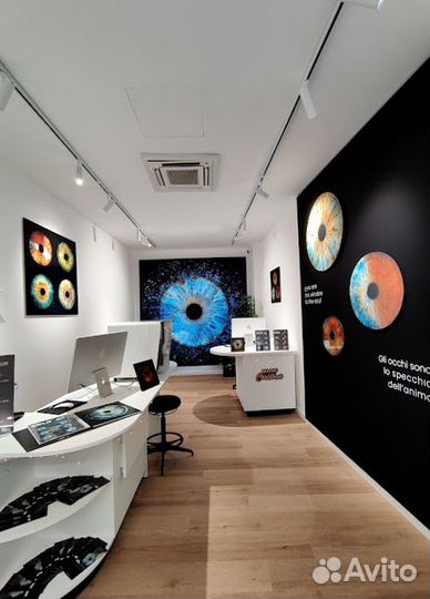 ScreenEyes прибыль в 1 месяц