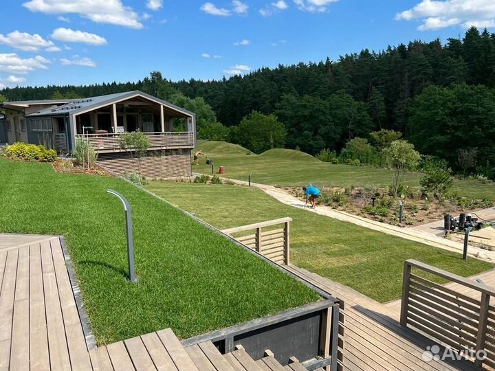 Рулонный газон под ключ