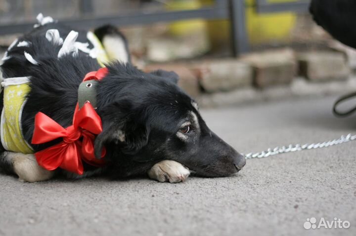 Принцесса, 10 месяцев