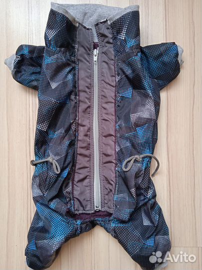 Одежда, шлейка, ошейник для маленьких собак