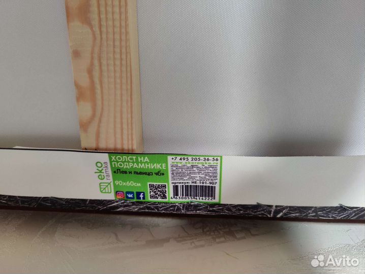 Картина большая львы