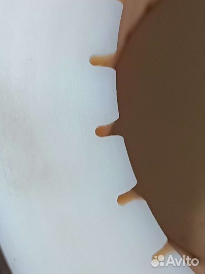 Пресс гидравлический холодного отжима кедра