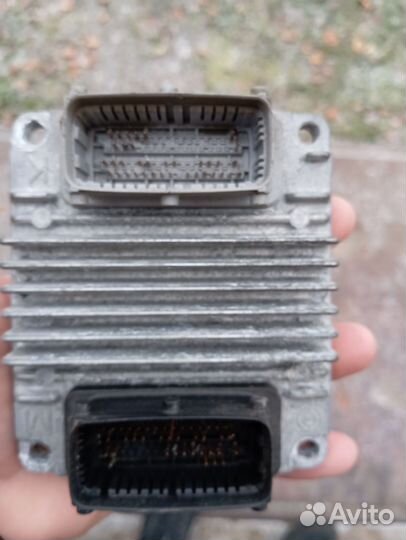 Эбу нексия, ланос