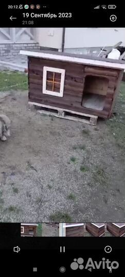 Будка для собаки