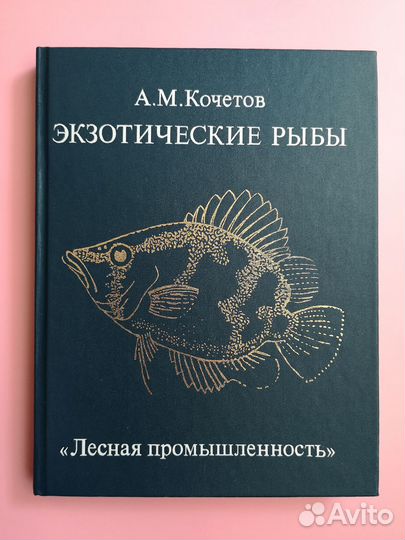 А.М. Кочетов 