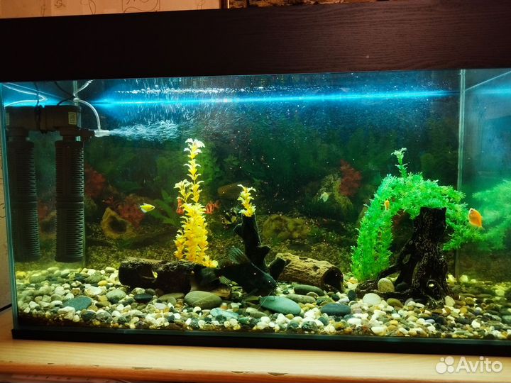 Аквариум