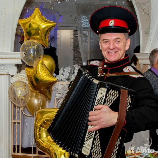 Баянист певец ведущий