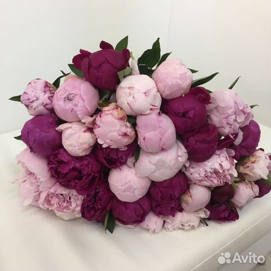 Букет из пионов