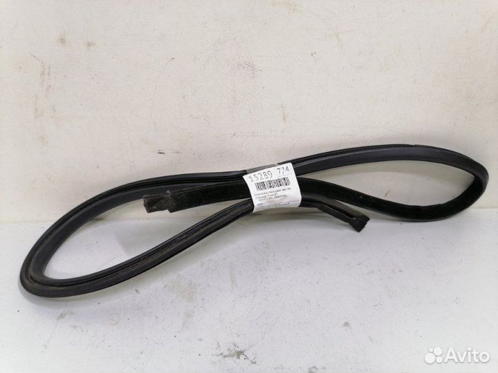 Уплотнитель стекла двери задний левый Volkswagen