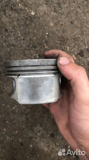 Поршня м62б46