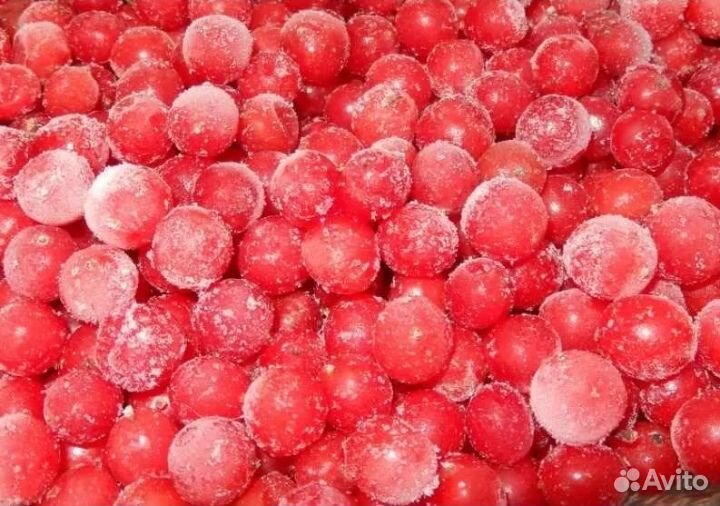 Замороженные малина, калина, смородина,чернослив