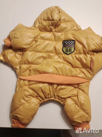 Одежда для маленьких собак xs