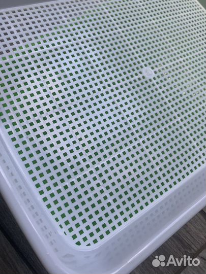 Лоток для выращивания микрозелени многоразовый