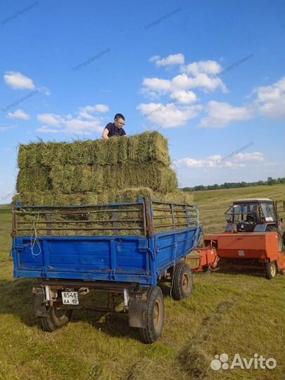 Продаем сено